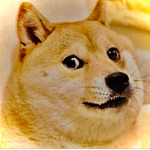 The future for doge