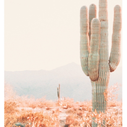 ❀