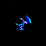 The Wingy Flies