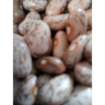 Bean world/cool beans only