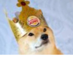 KINGDOM OF DOGE :D