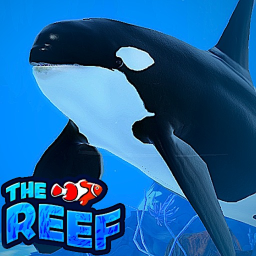 Before game thumbnail