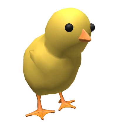 Baby Chicken