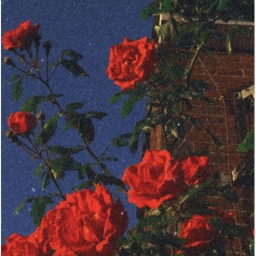 ♡☆•