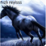 hızlı reyisss