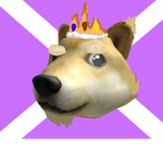 Doges and humans United