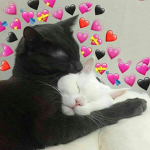 Las culisueltas