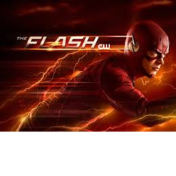 fans of flash speedrun