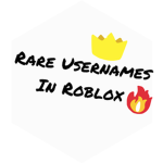 Rare usernames of roblox