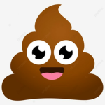 디드