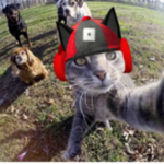 buoi