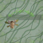 -}Motion Octopus's{-