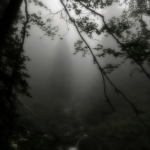 00:AM