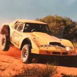 Race in a desert!