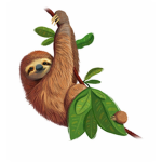 Sloth Cookies