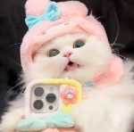 Cheerful Charm