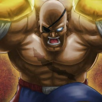 Sagat Beatdown