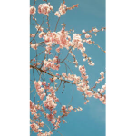 Blossoms!