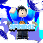 Springz Trampoline Park