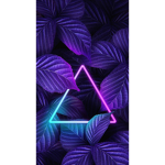 The Creative Clans
