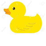 Mr ducky group