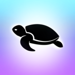 The Amazing Turtels
