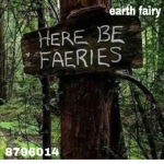earth fairy