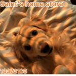 Saint’s home store!
