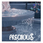 preciiou$