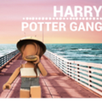 We love Harry Potter