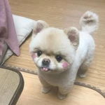 Group Thumbnail