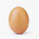 Eggz-United