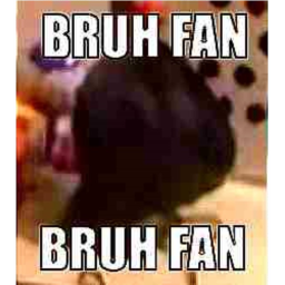 Bruh Fan Land