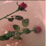 ☾Rose Smoke☽