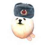 Pug force's