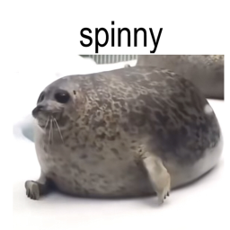 seal go spin