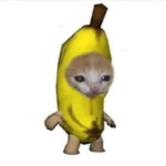 banana cat offical