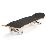 The best skateboard fan club