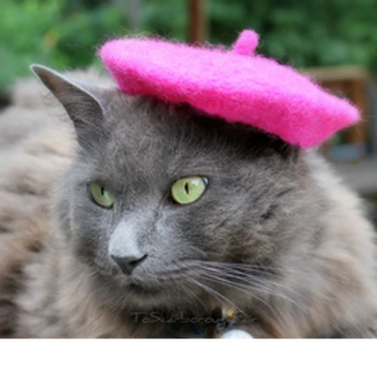 Razzberry Cats Roblox group icon