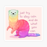 Calm Ferret