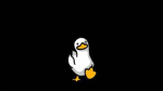In DEV Rn