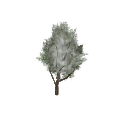 Snow Tree