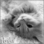 plushs