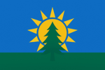 Council of Summerville