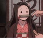 Nezuko Stans group