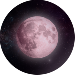 [-] Astro Interactive
