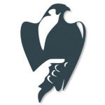 The Archives of Falconry