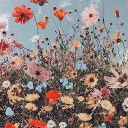 whimsical