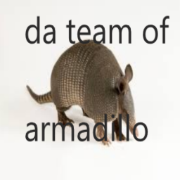 da team of armadillo group place.