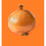 Onion Club!